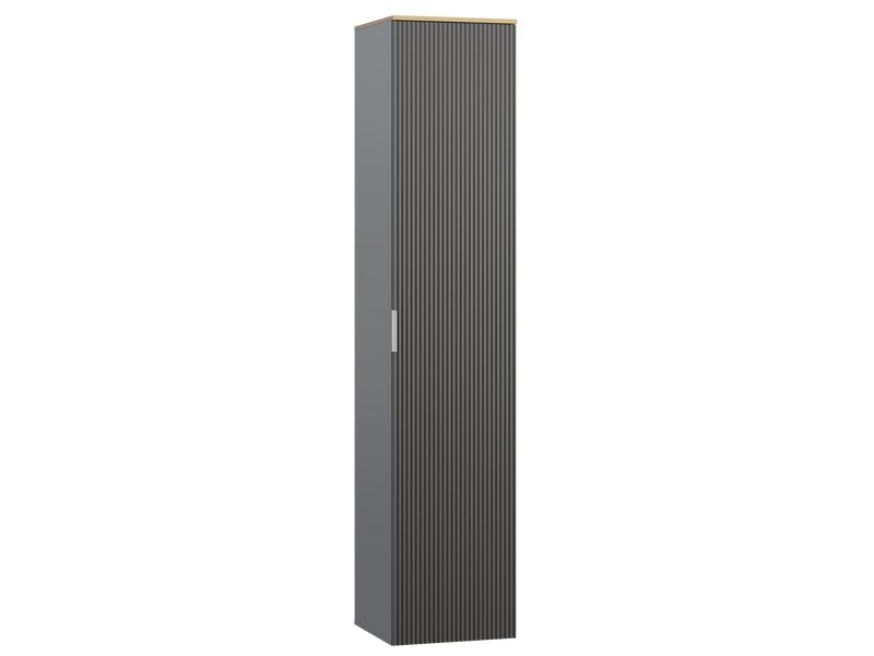 Распашной шкаф Енссон 1.1-40x240 Графитовый