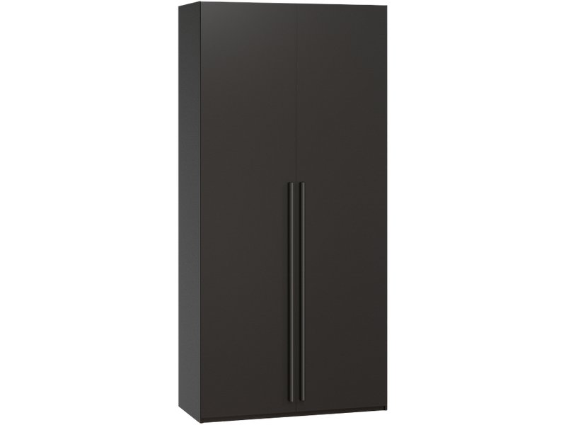 Распашной шкаф Кимбол 2-100x210 Черный с зеркалом