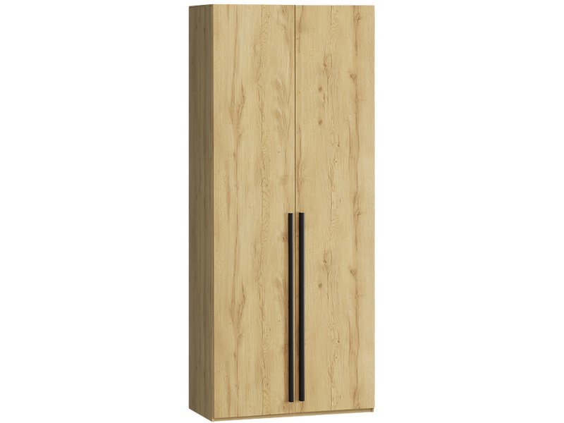 Распашной шкаф Кимбол 2-100x240 Дуб Золотистый/Черный