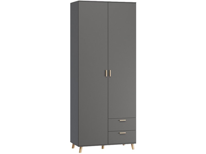 Распашной шкаф Пронто 2-100x220 Графитовый