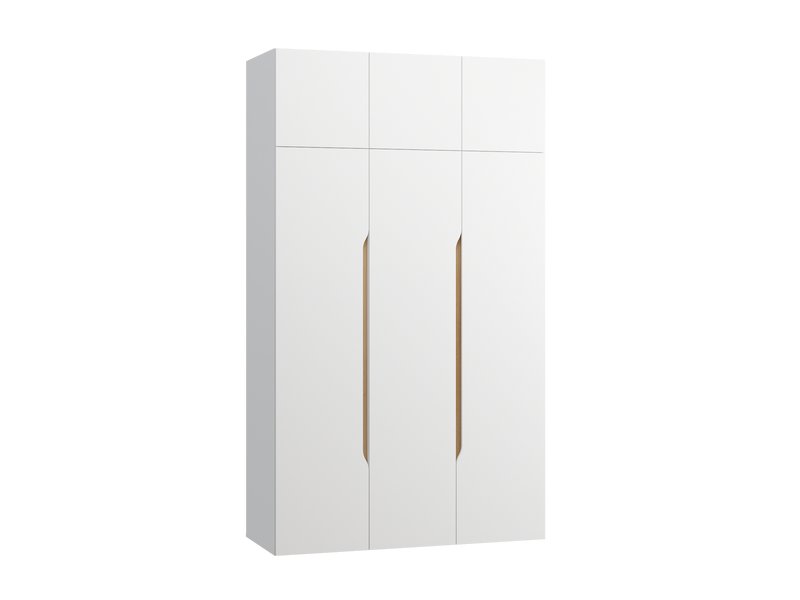 Распашной шкаф Ренар 3.1-150x260 Белый