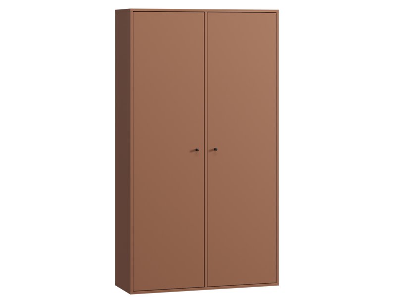 Шкаф навесной Сайрис 2-98x175 Терракотовый